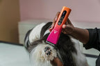 Andis 562745 ProClip 5-in-1 Adjustable Blade Cord/Cordless Pet Hair Clipper, 5 Blade Settings, 5 Speeds, Feather Light, Digiital Display Screen, Sunset