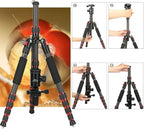 BONFOTO B690C Lightweight Carbon Fiber Portable Tripod Compact Travel Camera - Image 7