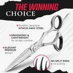Fagaci 6" Hair Thinning Scissors, 440C Steel, Extreme Sharpness, Texturizing Shears, Japanese Barber Scissors, Silver, 2 Count
