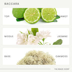 The Magic Scent Baccara Diffuser Oil - Hotel & Home Luxury Scents Inspired by Baccarat Rouge - Diffuser Oil Scents for Home Designed for Use in All Diffusers - 16.9 fl oz, 500 mL