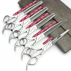 6.5 Inch Stainless Steel Professional Barber Scissors Hair Thinning Scissors Hairdresser or Home Hairdresser Variant (6.5 Inch-5pc)