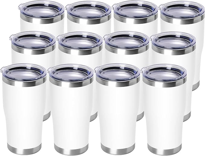 DOMICARE 20oz Tumbler with Lid Stainless Steel Tumblers Bulk, Double Wall by VisittheDOMICARE