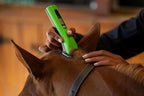 Andis 563231 ProClip 5-in-1 Adjustable Blade Cord/Cordless Pet Hair Clipper, 5 Blade Settings, 5 Speeds, Feather Light, Digiital Display Screen, Green