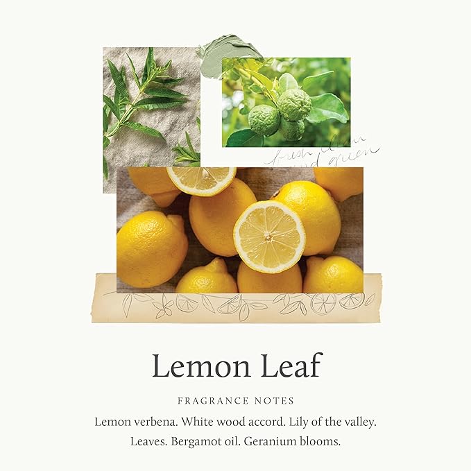 Thymes Reed Diffuser Oil - Lemon Leaf - 7.75 Fl Oz