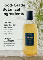 AROMATICA Tea Tree Purifying Shampoo 13.53fl.oz./400ml, Tea Tree Shampoo - Image 3