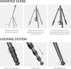 Compact Carbon Fiber Travel Camera Tripod - Image 4