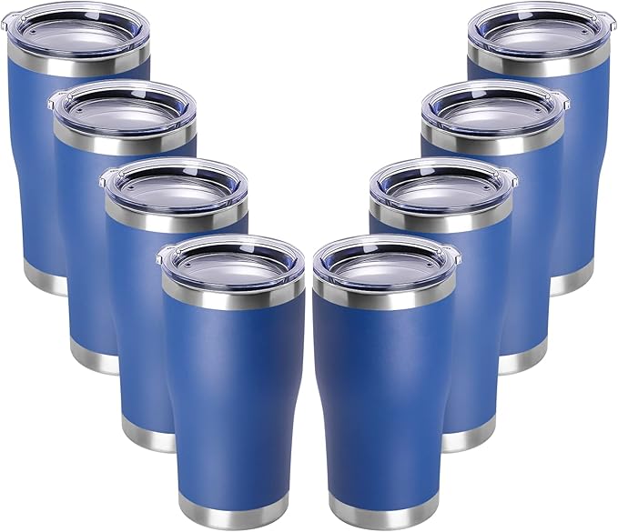 DOMICARE 20oz Tumbler with Lid Stainless Steel Tumblers Bulk, Double Wall by VisittheDOMICARE