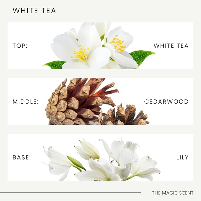 The Magic Scent White Tea Diffuser Oil - Hotel & Home Luxury Scents - Diffuser Oil Scents for Home Designed for Use in All Diffusers - 16.9 fl oz, 500 mL