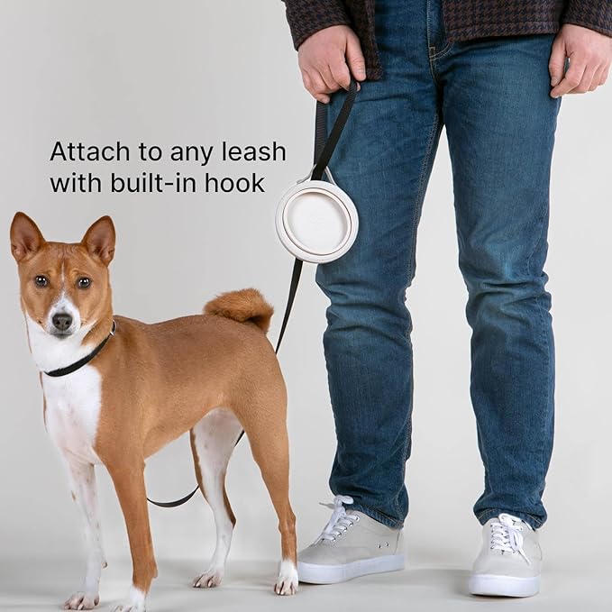 Nomad Small Collapsible Dog Bowl - Image 6