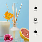 Apotheke Luxury Scented Reed Diffuser for Home, Sea Salt Grapefruit - 6.7 Fl Oz Essential Oil Aromatherapy - 10 Rattan Scent Sticks Room Diffuser - Long-Lasting Fragrance for Bedroom, Home, Bathroom
