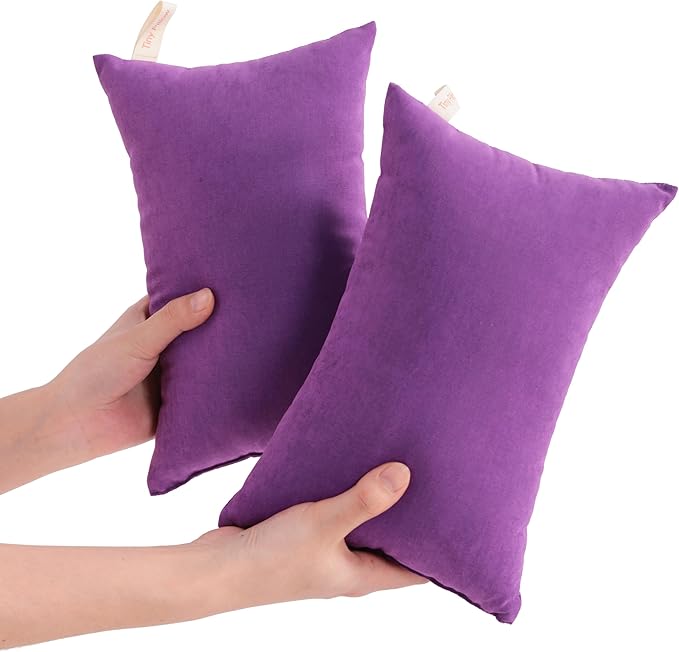 NTBAY Tiny Pillows, Down Alternative 7"x11" Microfiber Mini Pillows by NTBAY