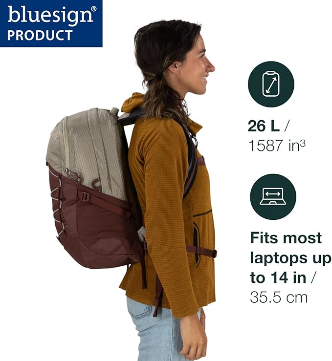 Osprey Quasar Commuter Backpack, Atlas Blue/Heather Grey - Image 5