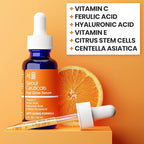 SeoulCeuticals Korean Skin Care 20% Vitamin C Hyaluronic Acid Serum + CE Ferulic Acid - Potent Anti Aging, Anti Wrinkle Korean Beauty 1oz (Pack of 2)