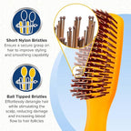 Giorgio GION2O Neon Orange 6.25 inch Gentle Touch Detangler Hair Brush for Men and Women. Soft Bristles for Sensitive Scalp. Wet and Dry for all Hair Types. Scalp Massager Brush Stimulate Hair Growth