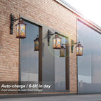 Outdoor Solar Lanterns, Waterproof Blue Jay Hanging Lantern - Image 3