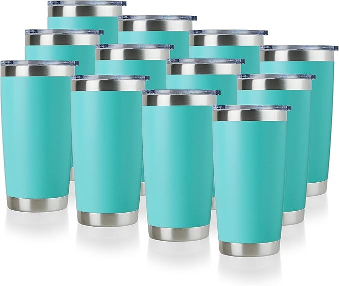 DOMICARE 20oz Stainless Steel Tumbler Bulk by VisittheDOMICARE