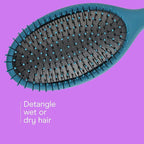 Conair Detangling Hair Brush Set, 3-Pack Detangler Brushes for Wet or Dry Hair, Gentle Detangler for All Hair Types, Bristle Hair Brushes for Women, Beige, Navy, and Coral