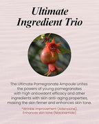 Sooryehan Ultimate Pomegranate Ampoule gift Set (55 ml/1.86 fl oz) - Skin Elasticity, Reduced Wrinkles & Skin Tone Improvement by LG Beauty. Collagen, Elastin, Vitamin C, Propolis,