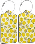 2 Pack Luggage Tag for Suitcase by TXIANT