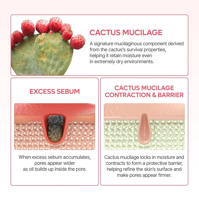 Dr.Melaxin Cactox Pore Dual Capsule Cream – Pore Minimizing Hydrating Face Cream with Cactus Extract, PDRN & Vegan Collagen for Firmness & Skin Repair