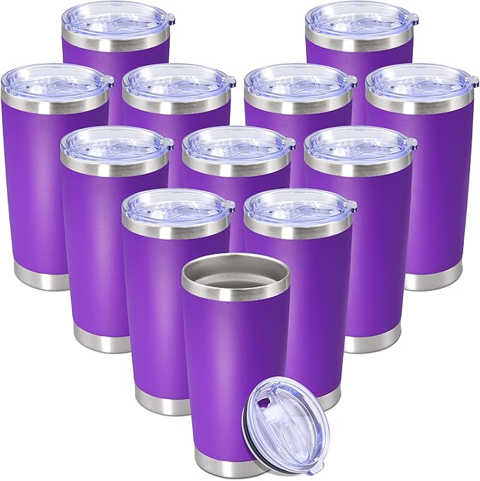 20 oz Tumbler with lid Double Wall Vacuum Insulated Tumblers Stainless Steel by Providethebestproducts