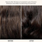Everist The Haircare Travel Duo, The Shampoo Concentrate & The Deep - Image 2