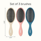 Conair Detangling Hair Brush Set, 3-Pack Detangler Brushes for Wet or Dry Hair, Gentle Detangler for All Hair Types, Bristle Hair Brushes for Women, Beige, Navy, and Coral
