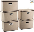 PRANDOM Large Collapsible Storage Baskets by Prandom
