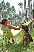 ENO, Eagles Nest Outfitters SingleNest Lightweight Camping Hammock - Image 8