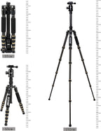 ZOMEI Z669C Carbon Fiber Portable Tripod - Image 4
