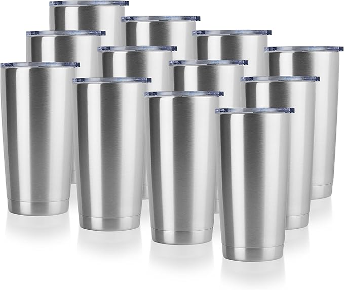 DOMICARE 20oz Stainless Steel Tumbler Bulk by VisittheDOMICARE