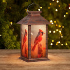 Solar Lanterns Outdoor Waterproof, Cardinal Solar Lights by AFINETH