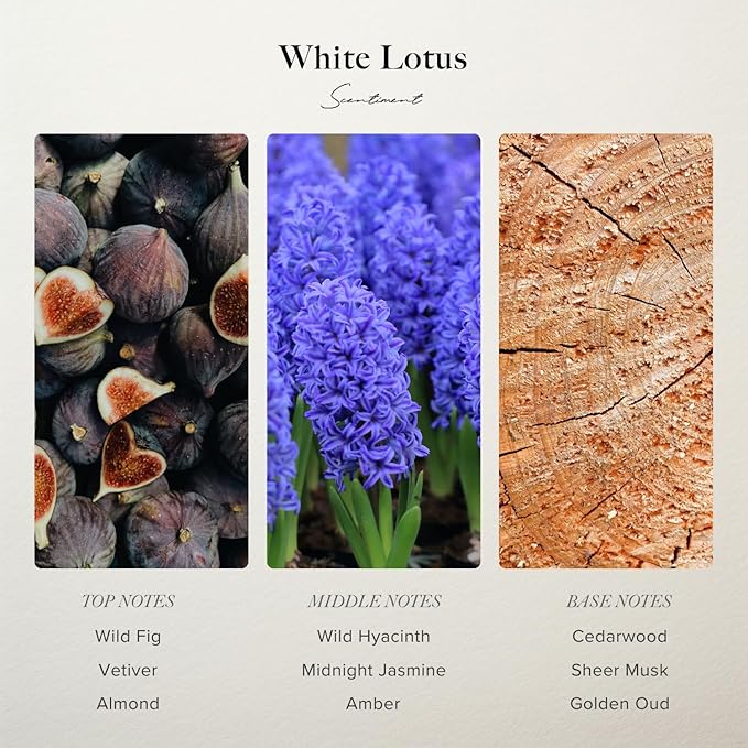 Scentiment Diffuser Oil - White Lotus | Aromatherapy Home Fragrance | Inspired by 5-Star Hotels | Luxurious Scent with Notes of Wild Fig, Vetiver, Almond, Sandalwood (50 mL)