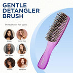 Giorgio GION1PP Neon Purple 7.75 inch Gentle Touch Detangler Hair Brush for Men and Women. Soft Bristles for Sensitive Scalp. Wet and Dry for all Hair Types. Scalp Massager Brush Stimulate Hair Growth