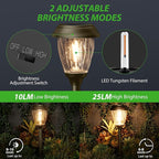 XMCOSY+ Solar Pathway Lights Outdoor, 10/25 LM in 2 Lighting Modes, Glass - Image 2