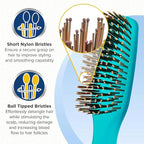 Giorgio GION1-2B Neon Blue Set of 2 Gentle Touch Detangler Hair Brush for Men and Women. Soft Bristles for Sensitive Scalp. Wet and Dry for all Hair Types. Scalp Massager Brush Stimulate Hair Growth