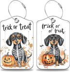 Halloween Funny Dachshund Dog and Pumpkin Set of 2 Luggage Tags by Unknown