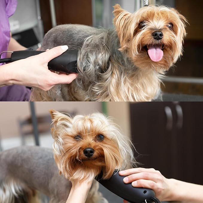 Detachable A Series Wide 6f Blade Dog Grooming Cuts Length 3/16" - 4.8mm Japanese High Carbon Steel Dog Grooming Blade Supplies | Detachable Blade Clippers (Compatible A5 Series(B6FW)
