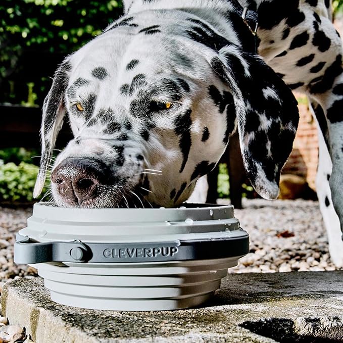 Nomad Large Collapsible Dog Bowl - Image 3