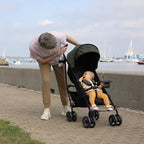 Summer Infant Ingenuity 3Dlite Convenience Stroller, Large Seat Area, 4 - Image 2