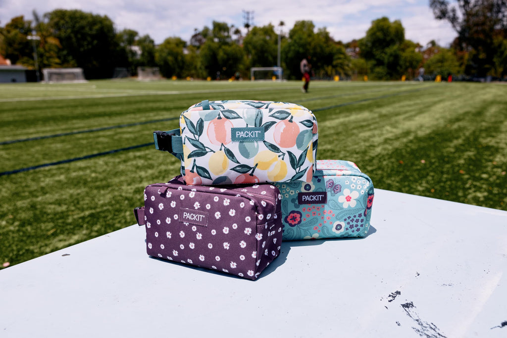 Freezable Snack Box (Butterfly Paisley / Medium)