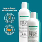 Cleure Shampoo and Conditioner Set Sulfate Free, Fragrance Free - Image 3