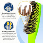 Giorgio GION1G Neon Green 7.75 inch Gentle Touch Detangler Hair Brush for Men Women. Soft Bristles for Sensitive Scalp. Wet and Dry for all Hair Types. Scalp Massager Brush Stimulate Hair Growth