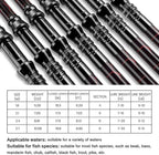 Fishing Rod and Reel Combos, Unique Design - Image 7