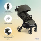 Joie Nutmeg Compact Stroller – Lightweight and Compact Stroller - Image 6