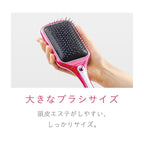 Reset Brush Paddle Type (Dry Battery Type) KBE-2811/VP (Vivit Pink)【Japan Domestic Genuine Products】