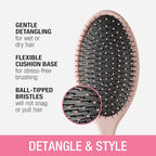 Conair Detangling Hair Brush Set, 3 count Detangler Brushes for Wet or Dry Hair, Gentle Detangler for All Types, Bristle Brushes for Women, Evergreen, Blush Pink, Black Assorted (Pack of 8)