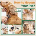 Gimars 4 in 1 Dog Grooming Clippers with Small Trimmer, 7000RPM High-Power 4-Speed Quiet Pet Shaver (≤55dB), Cordless Rechargeable Dog Hair Clippers for Thick Coats with Scissors, Comb & USB