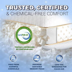 Royal Therapy King Memory Foam Pillows - Image 4