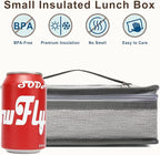 FlowFly Small Insulated Lunch box Portable Soft Bag Mini Cooler Thermal Meal - Image 2